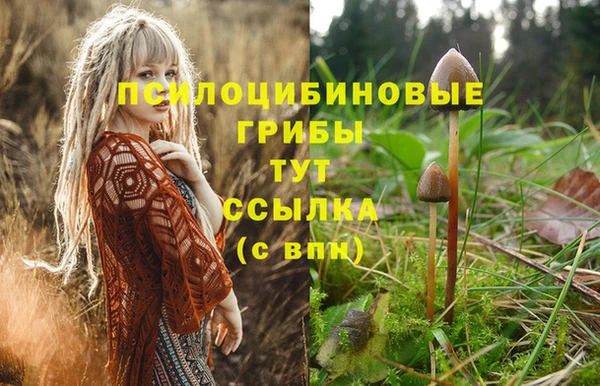бошки Баксан
