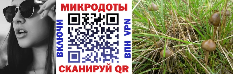 omg онион  Соль-Илецк  Галлюциногенные грибы ЛСД  закладка 