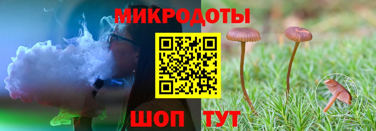 купить закладку  Псилоцибиновые грибы мицелий  Вход с VPN  Соль-Илецк 