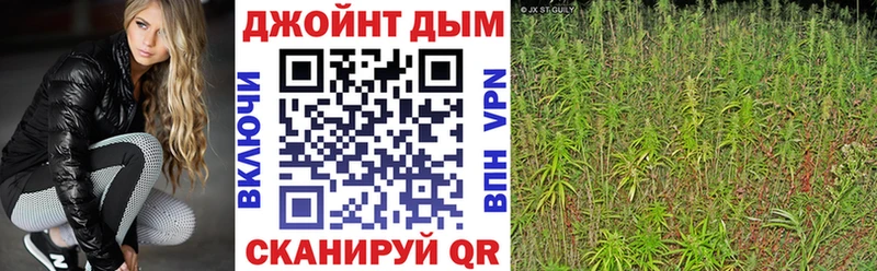 Конопля сатива гидра как зайти Соль-Илецк
